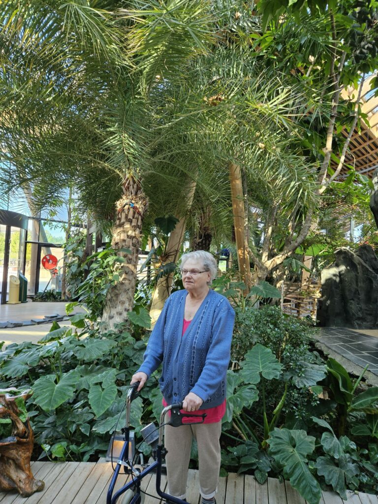 sortie center parc avec la colocation sénior et handicapé