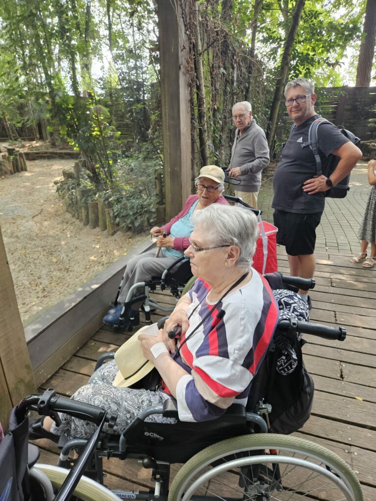 sortie zoo de la flèche